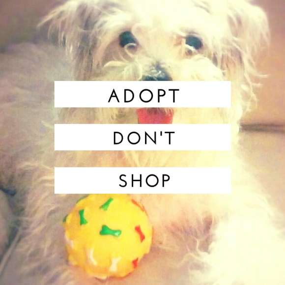 Meet the Posher - Picture 2 of 5